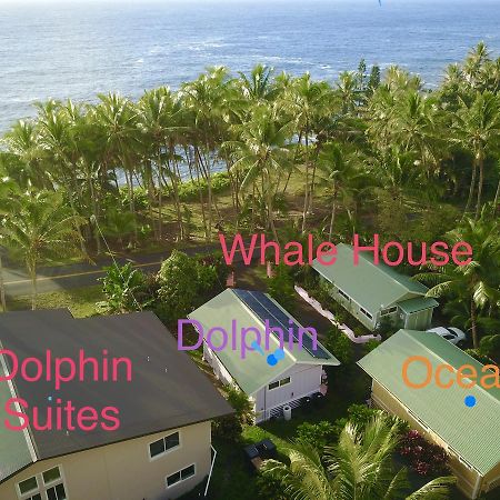 Whale House At Kehena Beach Pahoa Экстерьер фото