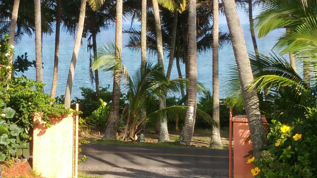 Whale House At Kehena Beach Pahoa Номер фото