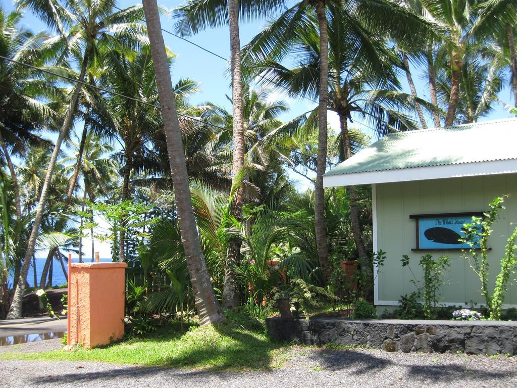 Whale House At Kehena Beach Pahoa Номер фото