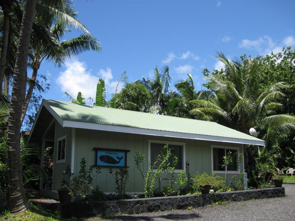 Whale House At Kehena Beach Pahoa Номер фото