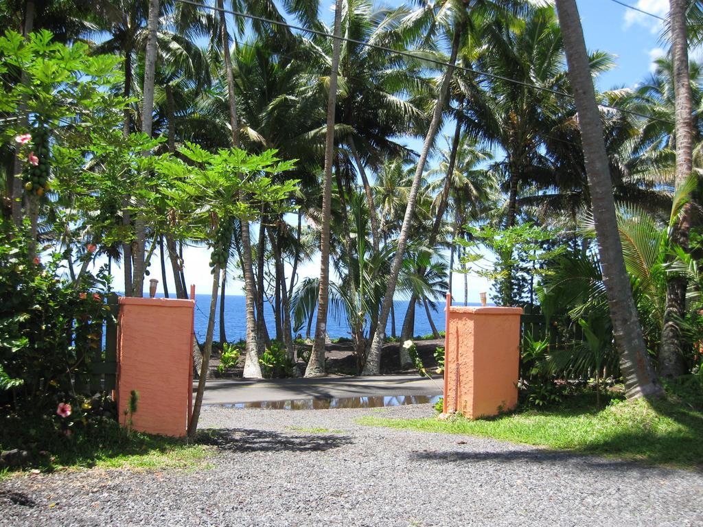 Whale House At Kehena Beach Pahoa Номер фото