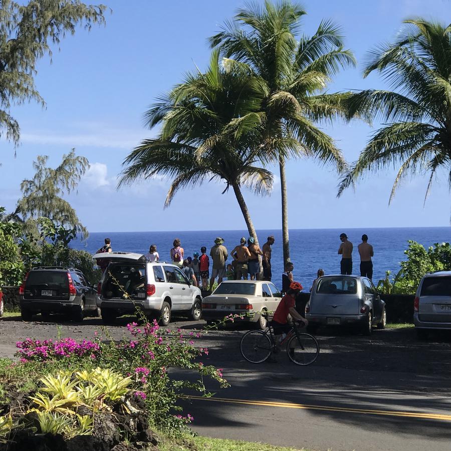 Whale House At Kehena Beach Pahoa Экстерьер фото