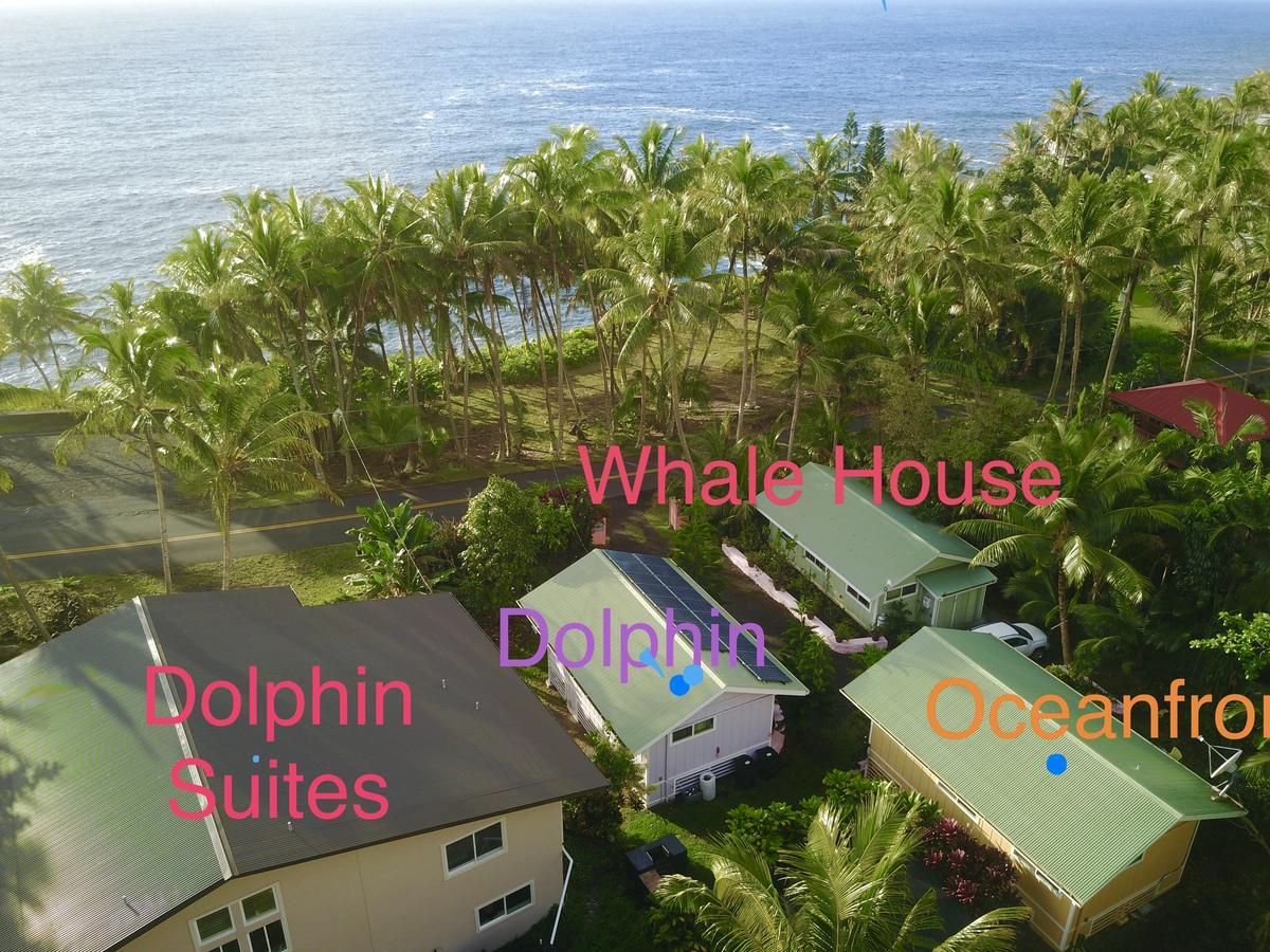 Whale House At Kehena Beach Pahoa Экстерьер фото