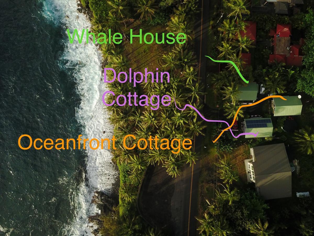Whale House At Kehena Beach Pahoa Экстерьер фото